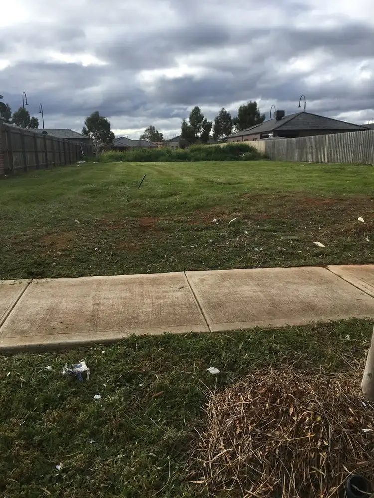 14 Equine Circuit, Melton South VIC 3338