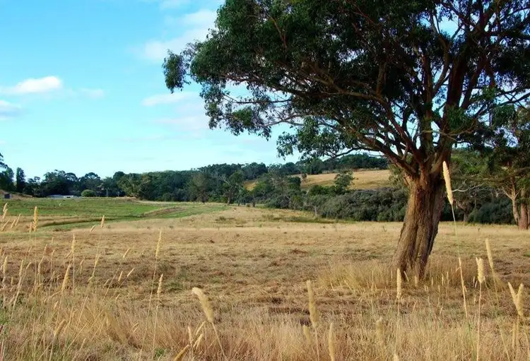 LOT Lot 6, 209 Timboon-Curdievale Road, Timboon VIC 3268