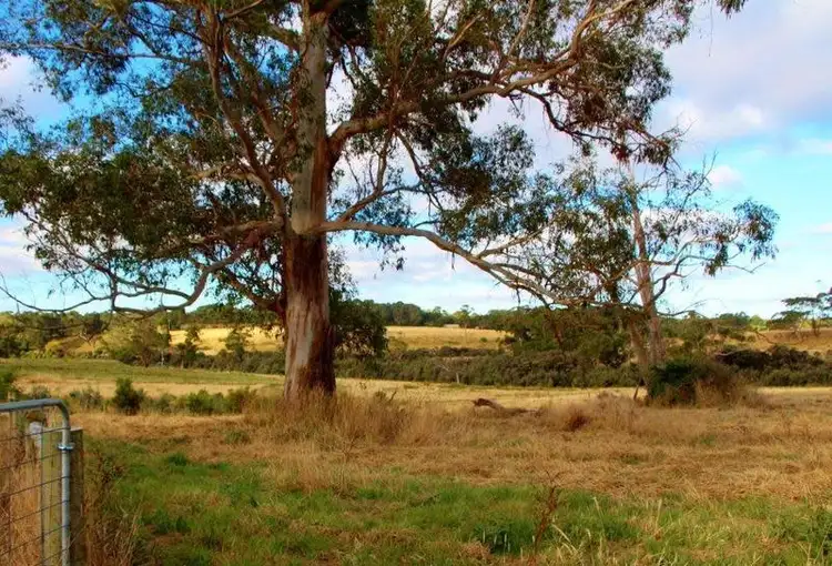 Sixth view of Homely land listing, LOT Lot 6, 209 Timboon-Curdievale Road, Timboon VIC 3268