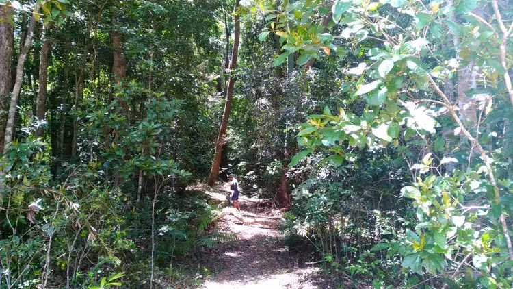 Sixth view of Homely land listing, 7 Whipbird Close, Speewah QLD 4881