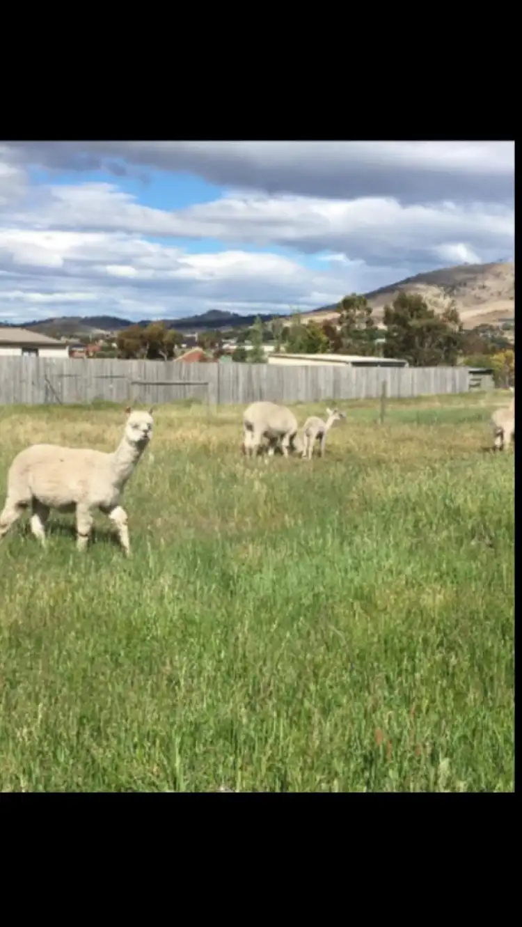 Seventh view of Homely land listing, Off River Court, Brighton TAS 7030