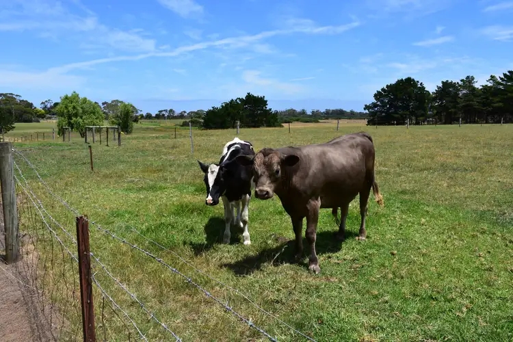 Seventh view of Homely rural property listing, 93 Turnbull street, Alberton VIC 3971