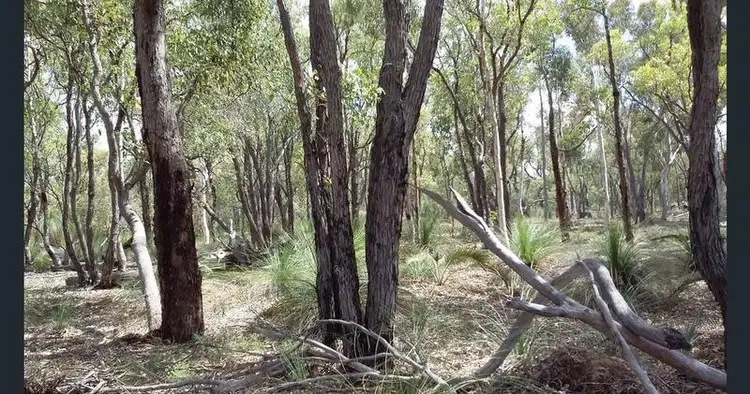 Fourth view of Homely land listing, LOT 226 Jacaranda Close, Chittering WA 6084