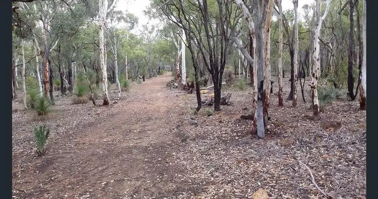 Sixth view of Homely land listing, LOT 226 Jacaranda Close, Chittering WA 6084