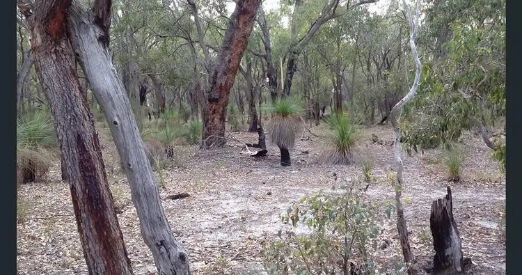 Seventh view of Homely land listing, LOT 226 Jacaranda Close, Chittering WA 6084