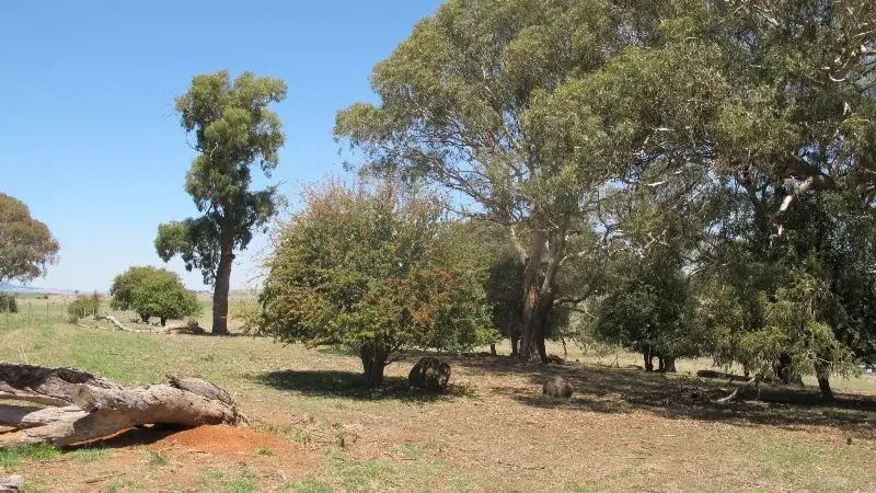Main view of Homely land listing, 119 Charles Booth Way, Millthorpe NSW 2798