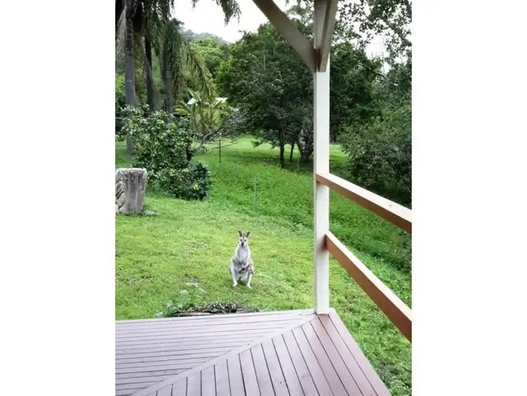 Fourth view of Homely rural property listing, Address available on request