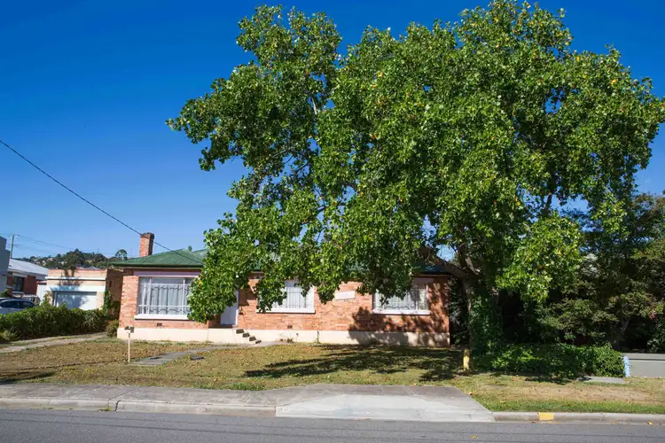 Fourth view of Homely house listing, 16 Freeland Crescent, Riverside TAS 7250