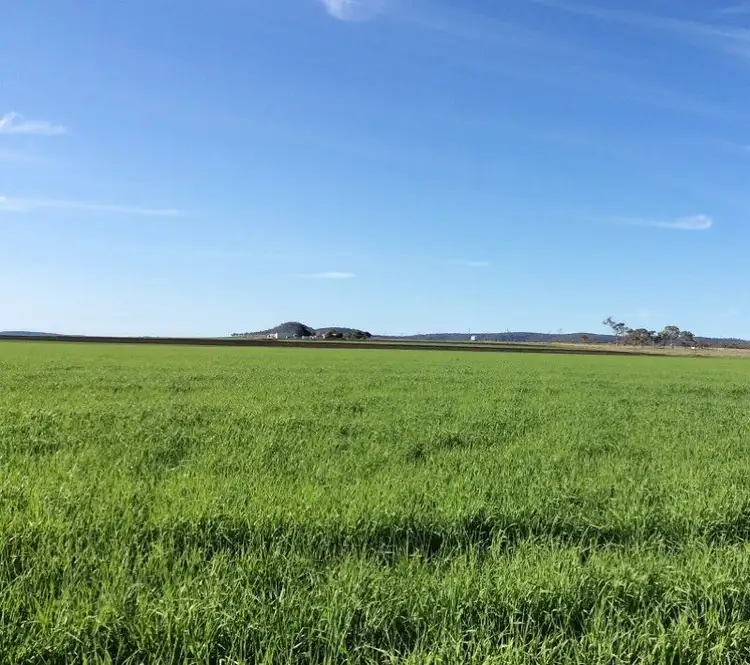 Second view of Homely rural property listing, 62 Smith Road, Spring Creek QLD 4361