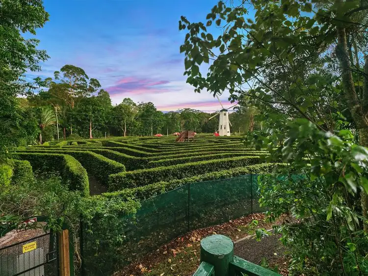 Seventh view of Homely rural property listing, 274 Tanawha Tourist Drive, Tanawha QLD 4556