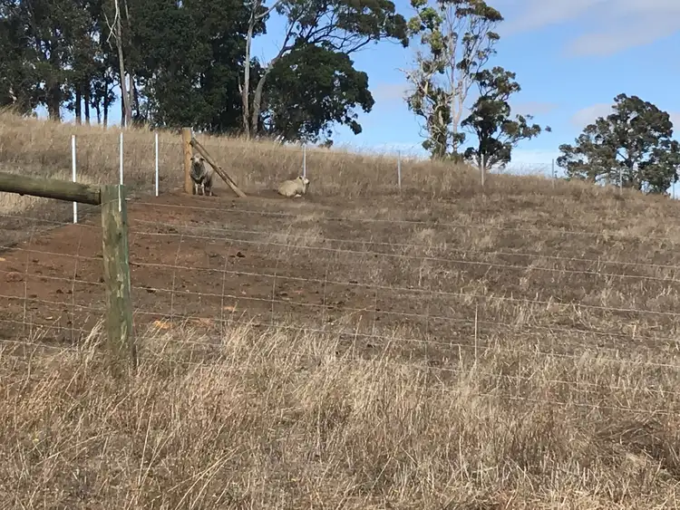 Seventh view of Homely land listing, 69 Sunridge Drive, Bridgetown WA 6255