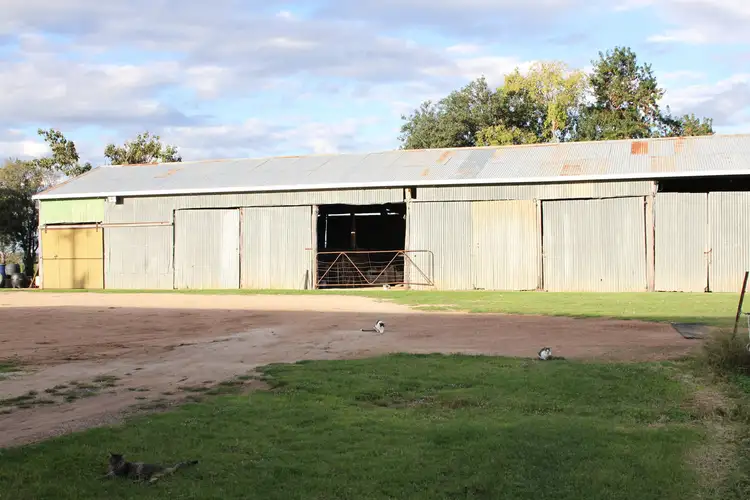 Fifth view of Homely rural property listing, 1552 Yetman Road, Oakwood NSW 2360