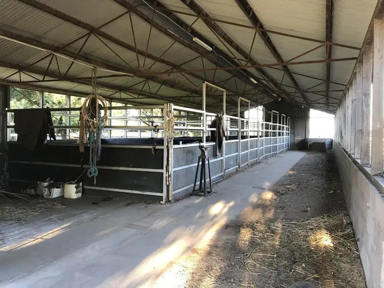 Seventh view of Homely rural property listing, 1552 Yetman Road, Oakwood NSW 2360