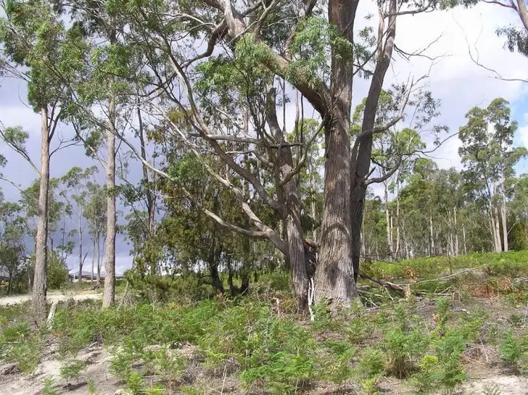Fourth view of Homely land listing, LOT LOT 78, 13 Booyaa Street, Kingston TAS 7050