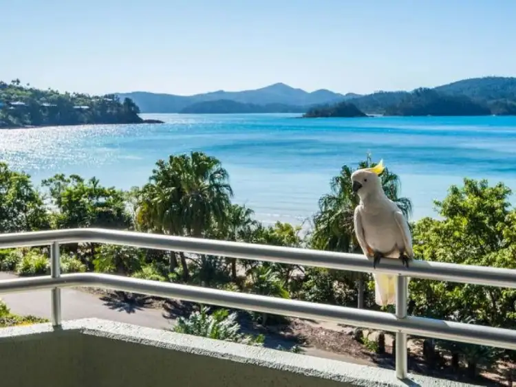 Lagoon 207/18 Resort Drive, Hamilton Island QLD 4803