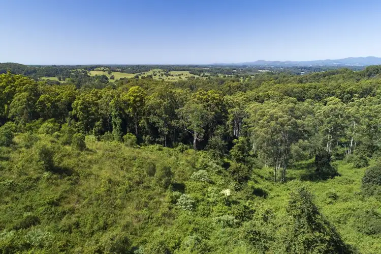 Third view of Homely rural property listing, 260 Balance Tank Road, Bowraville NSW 2449
