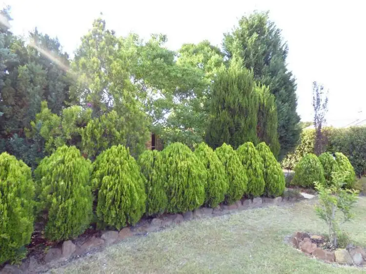 Fourth view of Homely house listing, 1 Lee Court, Crows Nest QLD 4355