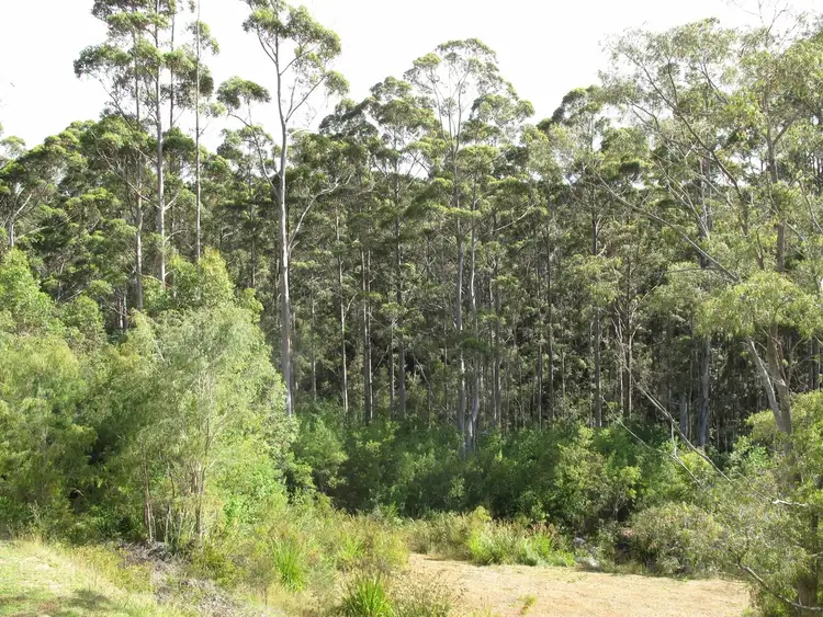 Sixth view of Homely house listing, 29 Love Crescent, Denmark WA 6333