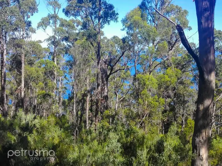 Fourth view of Homely land listing, 5250 Channel Highway, Gordon TAS 7150