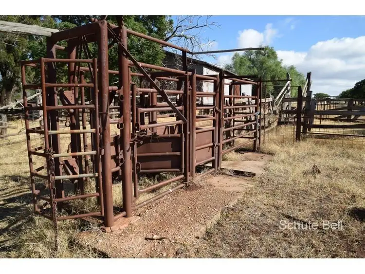 Seventh view of Homely rural property listing, . Hillside, Dubbo NSW 2830