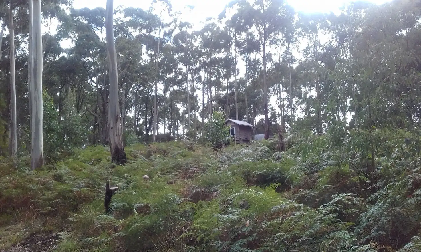 Main view of Homely rural property listing, 13a Lavers Hill-Cobden Road, Kennedys Creek VIC 3239