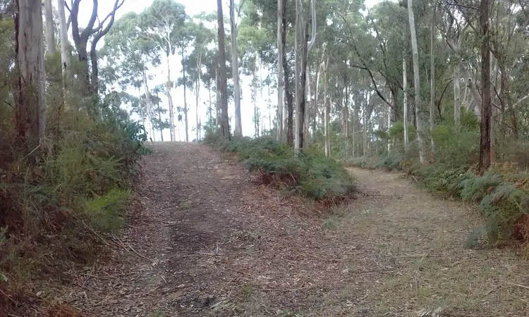Fifth view of Homely rural property listing, 13a Lavers Hill-Cobden Road, Kennedys Creek VIC 3239