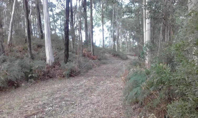 Sixth view of Homely rural property listing, 13a Lavers Hill-Cobden Road, Kennedys Creek VIC 3239