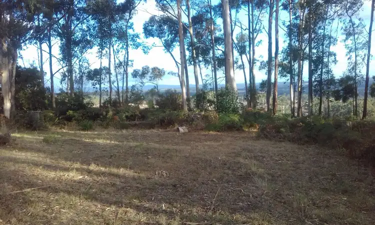 Seventh view of Homely rural property listing, 13a Lavers Hill-Cobden Road, Kennedys Creek VIC 3239