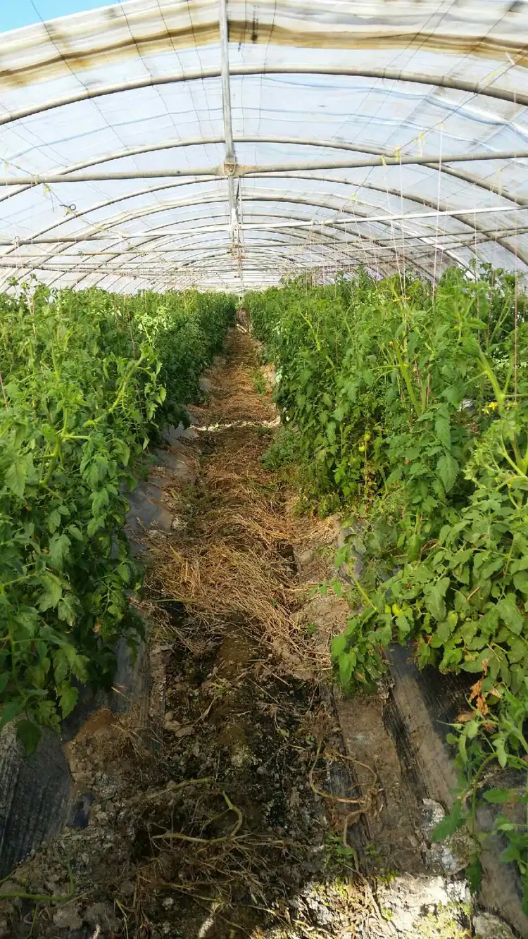 Sixth view of Homely rural property listing, 1395-1415 Chambers Flat Road, Chambers Flat QLD 4133