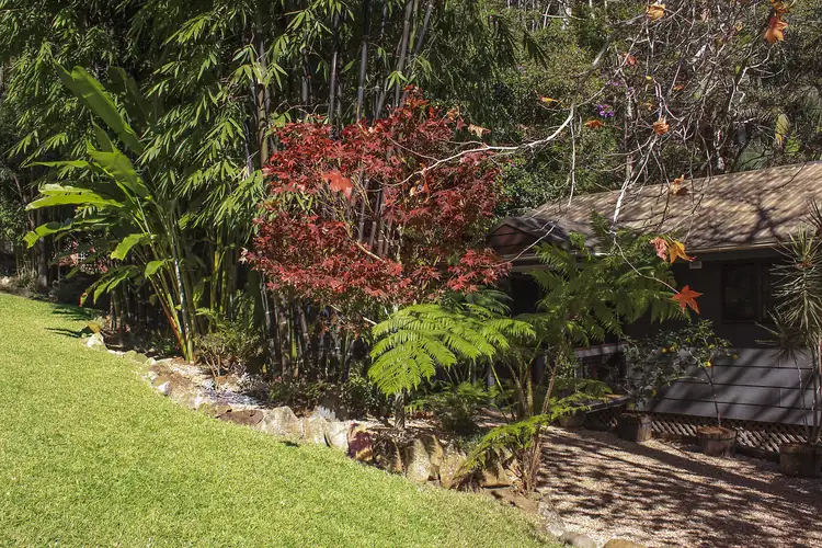 Third view of Homely house listing, 16 Lucania Court, Tamborine Mountain QLD 4272