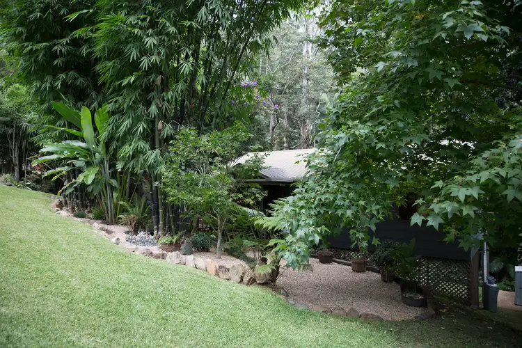 Fifth view of Homely house listing, 16 Lucania Court, Tamborine Mountain QLD 4272