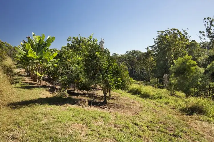 Fourth view of Homely land listing, LOT 12, 0 MacKay Place, Newee Creek NSW 2447