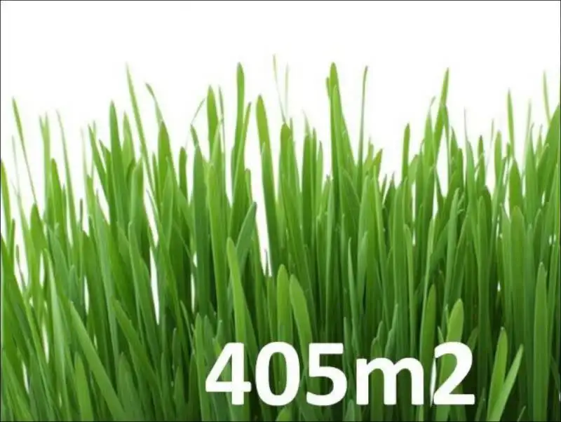 Main view of Homely land listing, 31 Nicholson Street, Mitchelton QLD 4053