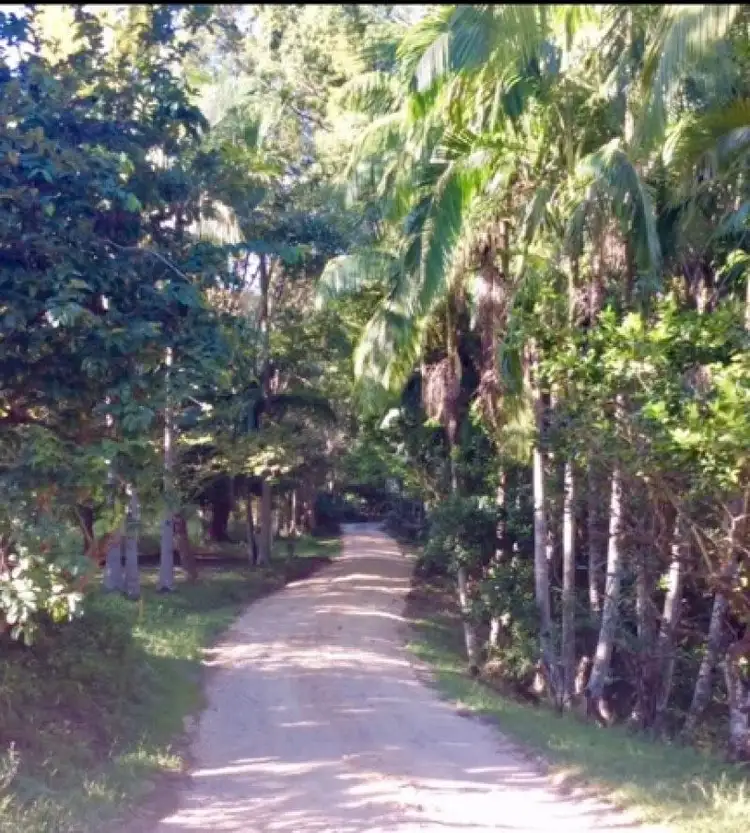 Fourth view of Homely rural property listing, 198 Rowlands Creek Road, Uki NSW 2484