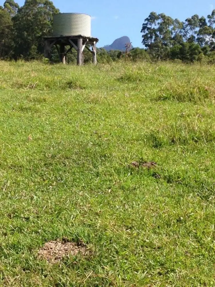 Seventh view of Homely rural property listing, 198 Rowlands Creek Road, Uki NSW 2484