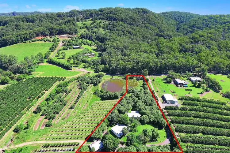 Main view of Homely rural property listing, 64 Kromes Road, North Arm QLD 4561