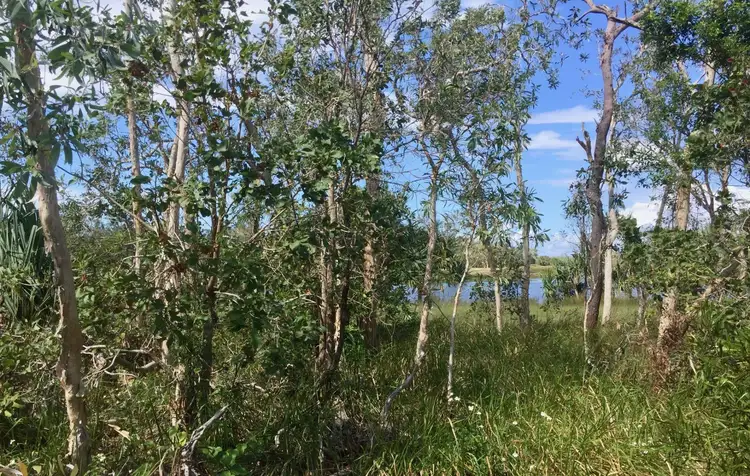 Main view of Homely land listing, LOT 21, 0 Lakeside Conder Parade, Laguna Quays QLD 4800