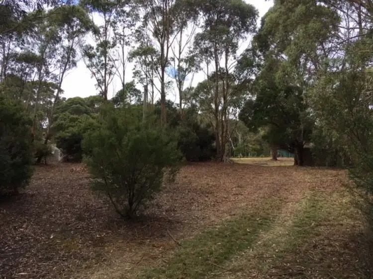 143 Arthur River Road, Marrawah TAS 7330