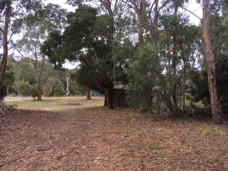 Second view of Homely rural property listing, 143 Arthur River Road, Marrawah TAS 7330