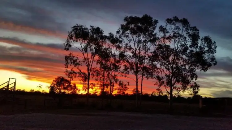 Third view of Homely rural property listing, 697 Auburn Road, Chinchilla QLD 4413