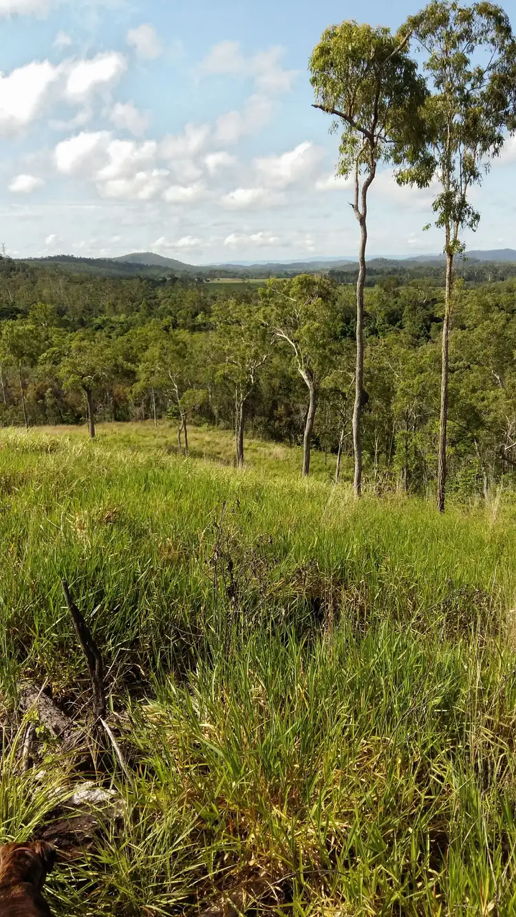 Second view of Homely land listing, Lot 3 McLeans Bridge Rd, Julatten QLD 4871
