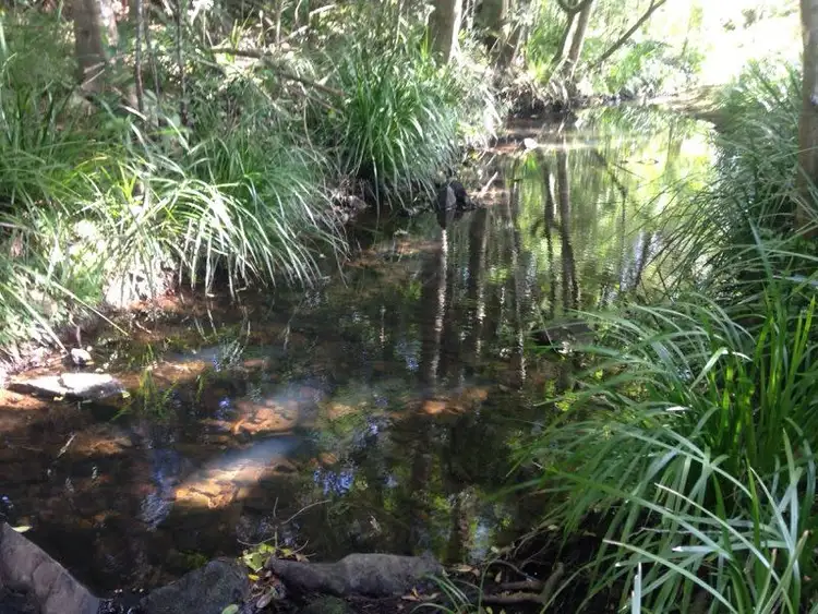 Fifth view of Homely land listing, 21 Bowerbird Avenue, Burnside QLD 4560
