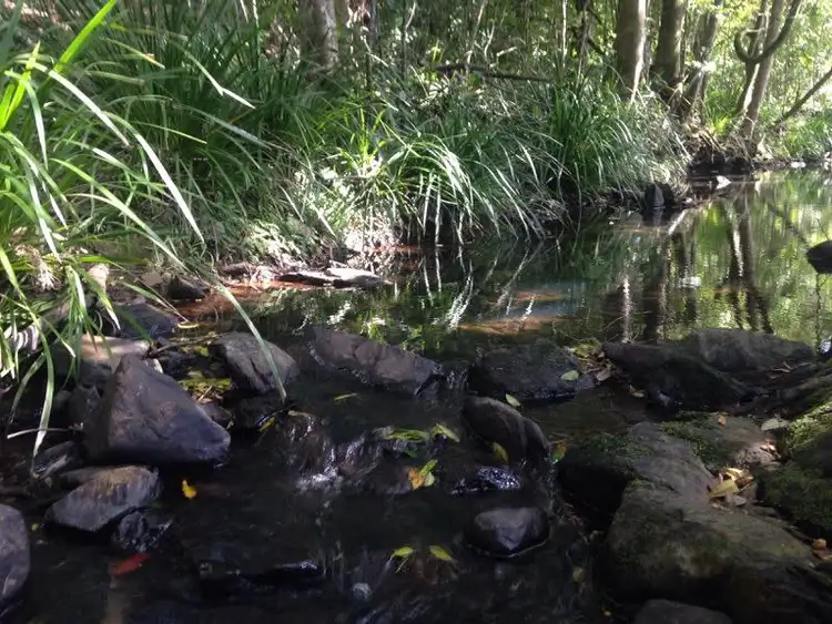 Sixth view of Homely land listing, 21 Bowerbird Avenue, Burnside QLD 4560