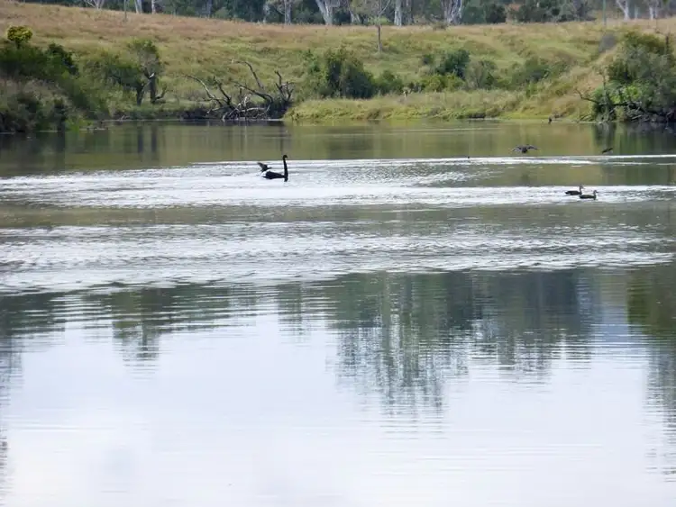 Seventh view of Homely rural property listing, Address available on request