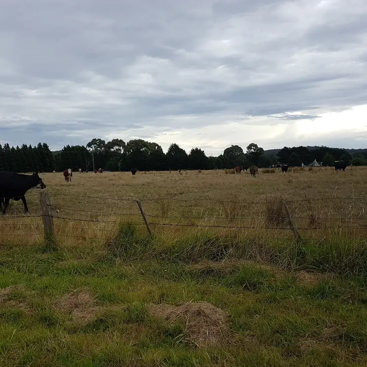 Third view of Homely land listing, 611 Glenburnie Road, Eden Park VIC 3757