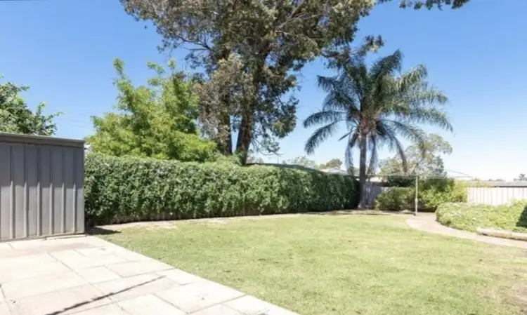 Second view of Homely house listing, 19 Christowe Drive, Swan View WA 6056