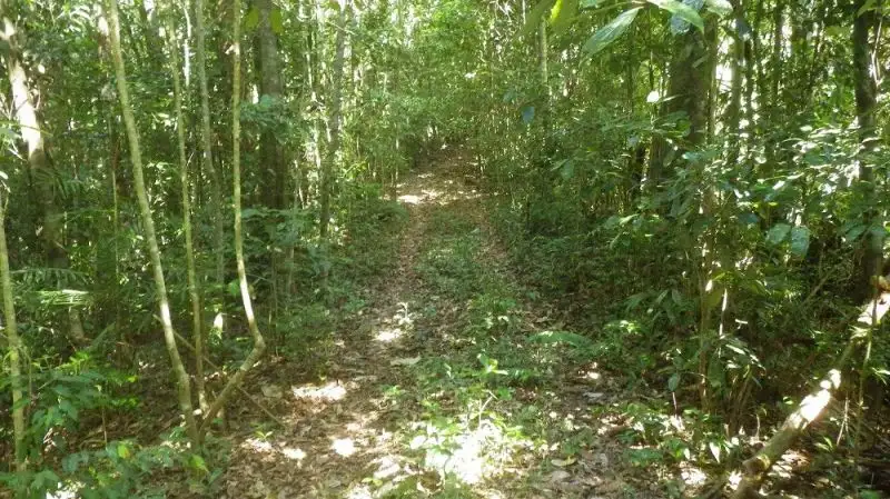 Main view of Homely rural property listing, Address available on request