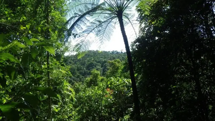 Second view of Homely rural property listing, Address available on request