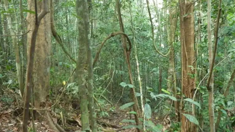 Third view of Homely rural property listing, Address available on request