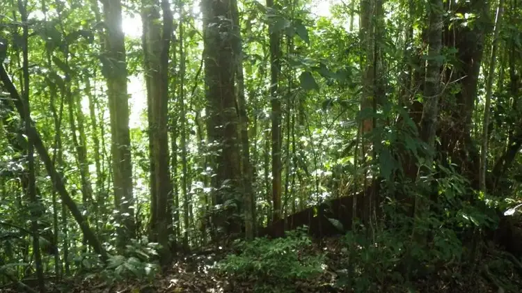 Fourth view of Homely rural property listing, Address available on request